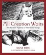 All Creation Waits: The Advent Mystery of New Beginnings Online Sale